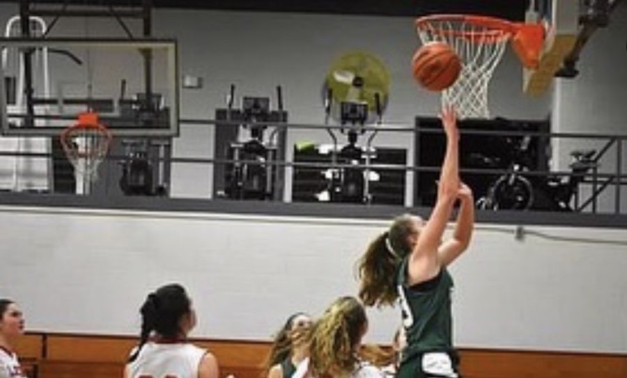 Girls JV basketball opens season with tough loss to Northview Wildcats