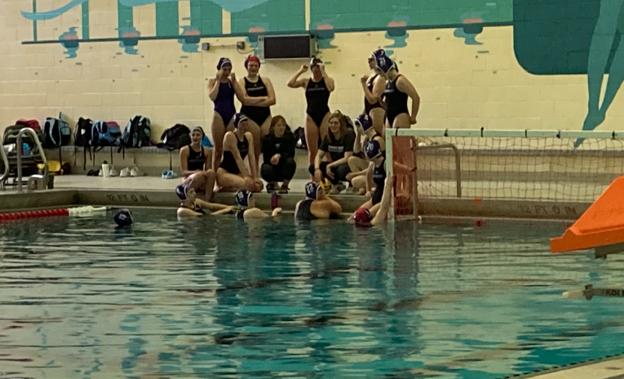 The+girls+varsity+water+polo+team+beats+Grand+Haven+with+only+one+more+game+until+districts