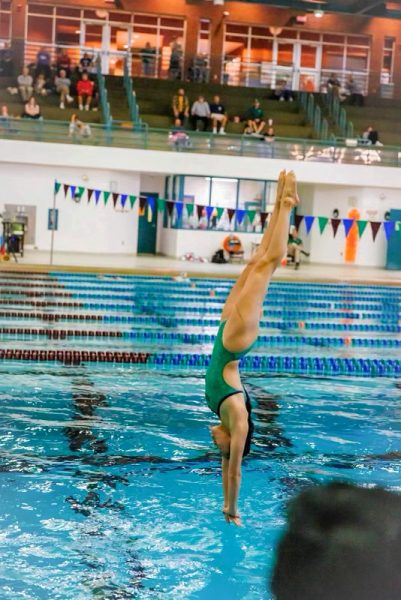 Divers prove to be a critical part of the swim and dive team