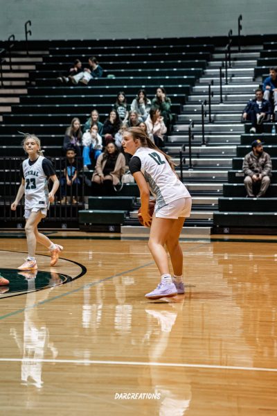 Q&A with Girls JV Basketball player, Sophomore Ryan Davis